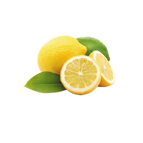 0059c3a873e832f046919dca3e1d8236