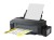 55823