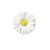 088ecdf4406e337c7fac6c795c59163b