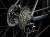 Dual Sport+ 2 LT 2025 - Szary_4
