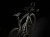 Speed Concept SLR 9 2025 - Szary/czarny_3