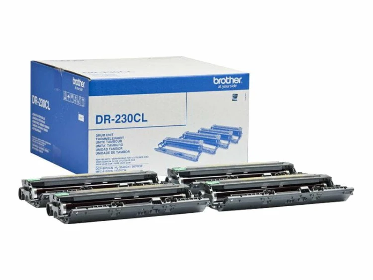 51066