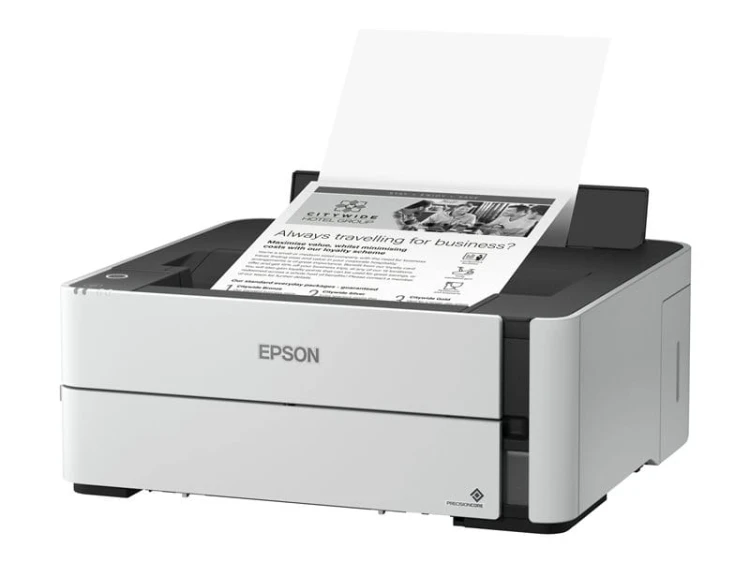56008