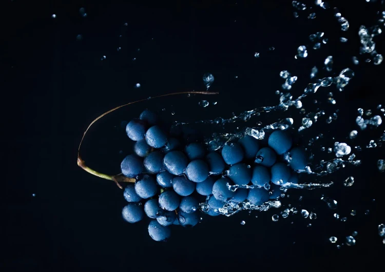 grapes-ge41c010a8_1920.jpg